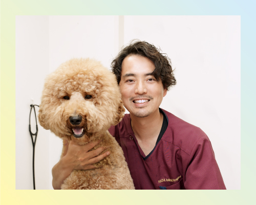 ハダ動物病院の院長、はしづめたくや