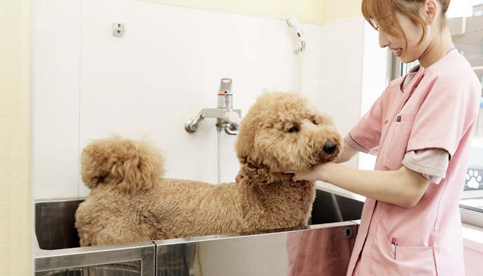 大型犬でも入れるバスタブをご用意しています