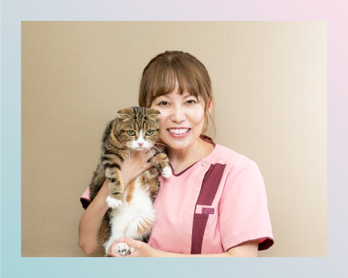 ハダ動物病院の受付と動物看護わたせかなこ