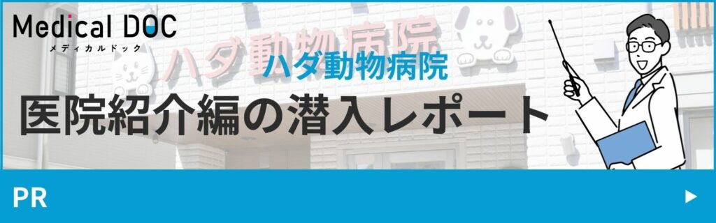 ハダ動物病院のメディカルドックレポート記事のご紹介