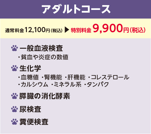 健康診断のアダルトコース