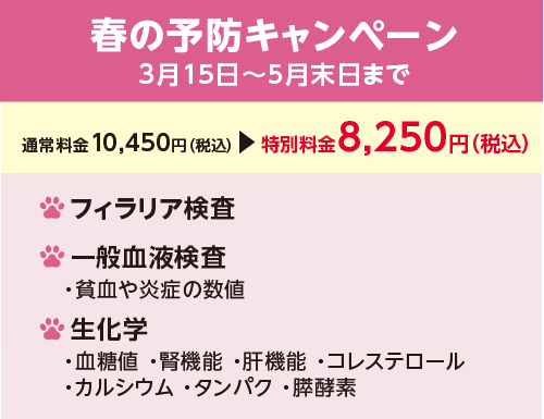 健康診断の春の予防キャンペーンを実施します。期間は3月15日から5月末日まで。
