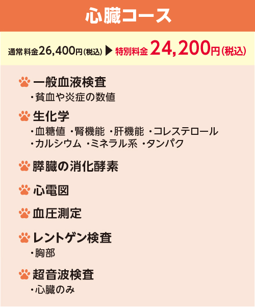 健康診断の心臓コース